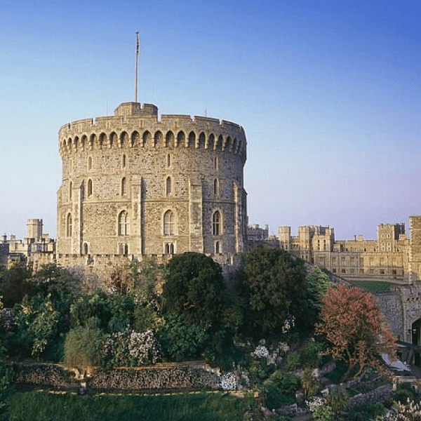 Tastes and Sounds of the South 2019